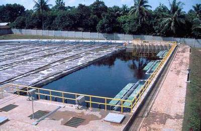 丝状菌膨胀爆发后 4个不同时期的污泥沉降特征变化