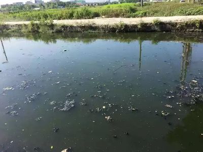 50个反渗透常见问题及解决方案，搞定你99%的问题